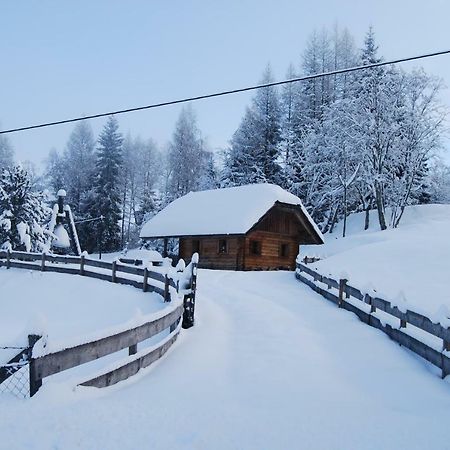 Ferienhaus Gobald Murau Exteriör bild