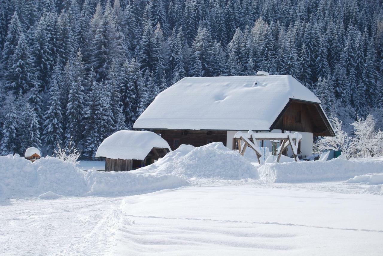 Ferienhaus Gobald Murau Exteriör bild